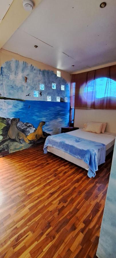 Cozy Hosting Galapagos Apartment Puerto Ayora  Exterior foto